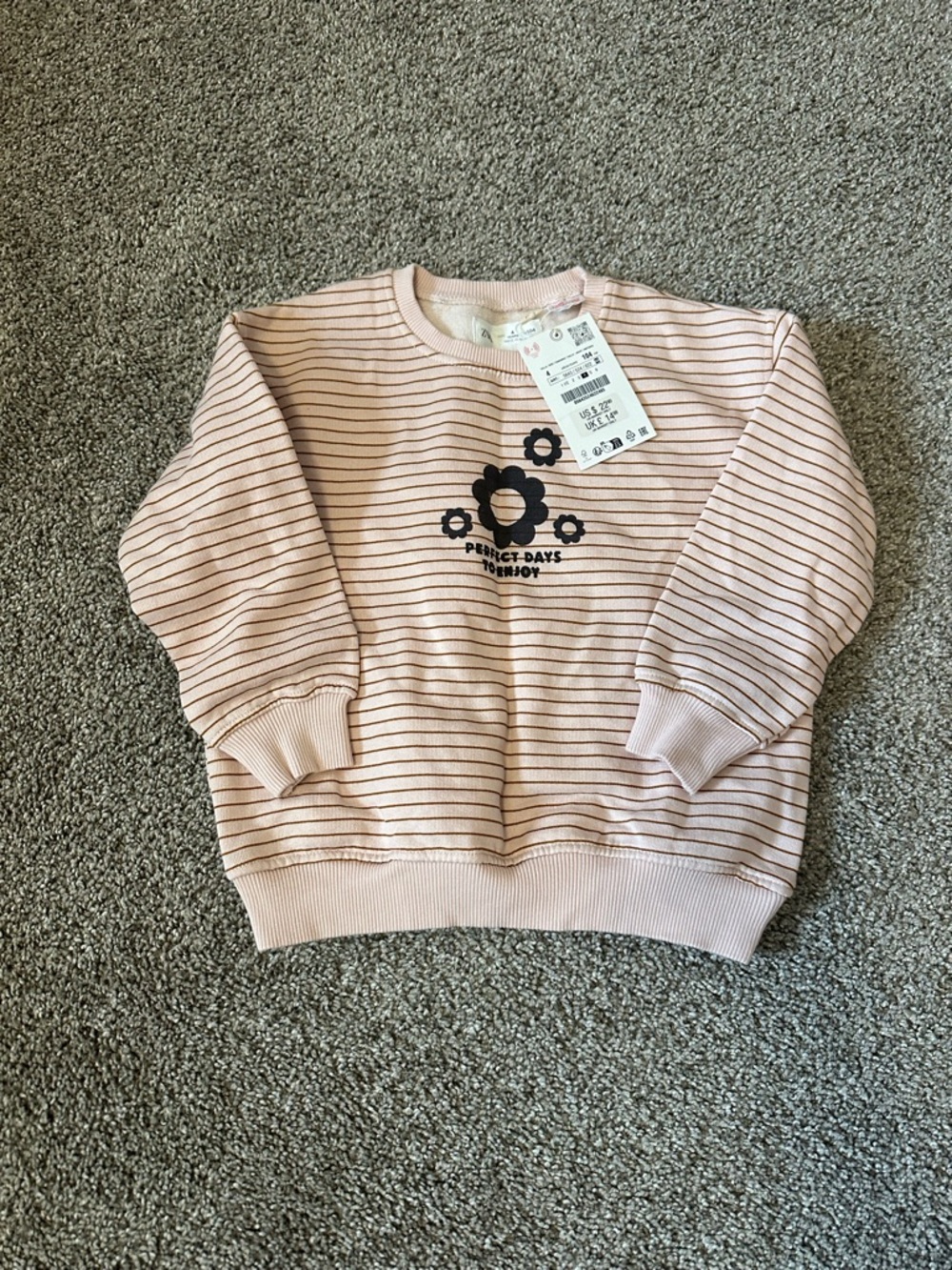 NWT Zara Striped Crewneck